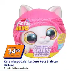 Action Kula niespodzianka Zuru Pets Smitten Kittens oferta