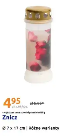 Action Znicz oferta
