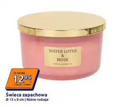 Action Świeca zapachowa oferta