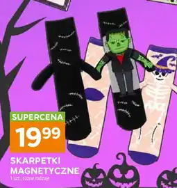 Stokrotka Skarpetki Magnetyczne oferta