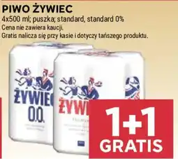 Stokrotka Piwo Żywiec oferta