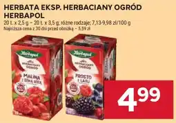 Stokrotka Herbata eksp. herbaciany ogród Herbapol oferta