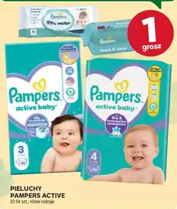 Stokrotka Pieluchy Pampers Active oferta