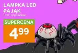 Stokrotka Lampka LED Pająk oferta