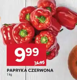 Stokrotka PAPRYKA CZERWONA oferta
