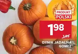 Stokrotka Dynia Jadalna Gomez oferta
