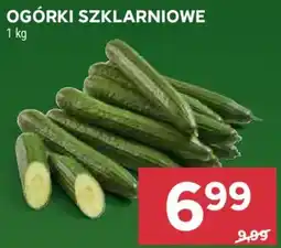Stokrotka Ogórki Szklarniowe oferta
