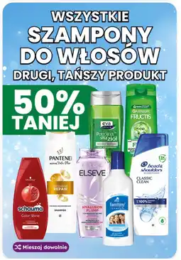Dino Wszystkie szampony do włosów oferta