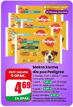 Dino Mokra karma dla psa Pedigree oferta