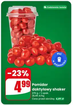 Dino Pomidor daktylowy shaker oferta