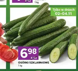 Stokrotka Ogórki szklarniowe oferta