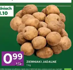 Stokrotka Ziemniaki jadalne oferta