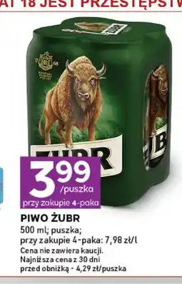 Stokrotka Piwo Żubr 4-pak oferta