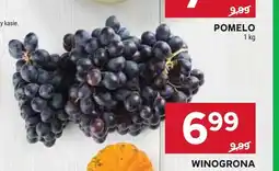 Stokrotka Winogrona ciemne oferta