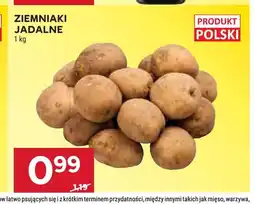 Stokrotka Ziemniaki jadalne oferta