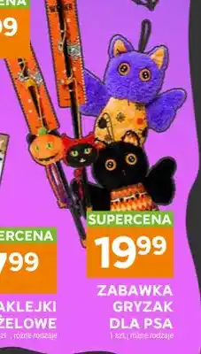 Stokrotka Zabawka gryzak dla psa oferta