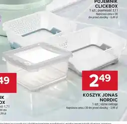 Stokrotka Koszyk Jonas Nordic oferta