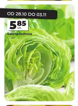 Odido Sałata lodowa oferta