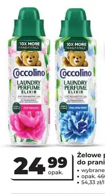 Odido Żelowe perfumy do prania Coccolino First Blooms oferta