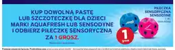 Stokrotka Piłeczka sensoryczna Sensodyne oferta