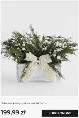 Home&You Sztuczne kwiaty w doniczce Winteros home & you oferta