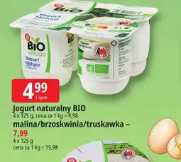 E.Leclerc Jogurt malina 4-pak Bio Village oferta
