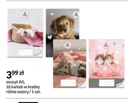 Empik Zeszyt A5 16 kartek w kratkę oferta