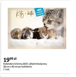 Empik Kalendarz ścienny 2027 Koty i kotki Lucrum oferta