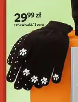 Empik Rękawiczki Kotter Moments oferta