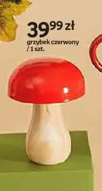Empik Grzybek czerwony Hello Autumn oferta