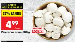 Biedronka Pieczarka świeża oferta