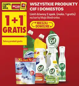 Biedronka Wszystkie produkty Cif i Domestos oferta