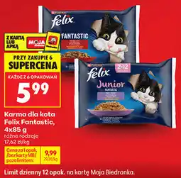 Biedronka Karma dla kota Felix Fantastic oferta