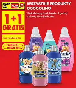Biedronka Wszystkie produkty Coccolino oferta