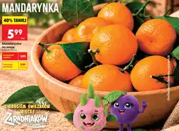 Biedronka Mandarynka na wagę oferta