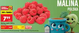 Biedronka Malina polska, opak oferta