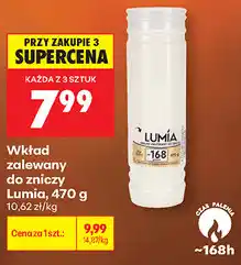 Biedronka Wkład zalewany do zniczy Lumia oferta