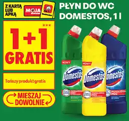 Biedronka Płyn do WC Domestos oferta