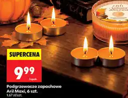 Biedronka Podgrzewacze zapachowe Aril Maxi oferta