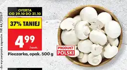 Biedronka Pieczarki polskie oferta
