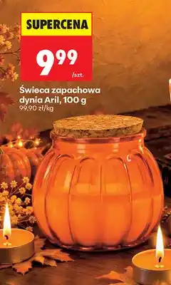 Biedronka Świeca zapachowa dynia Aril oferta