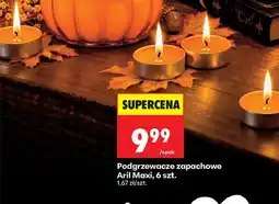 Biedronka Podgrzewacze zapachowe Aril Maxi oferta