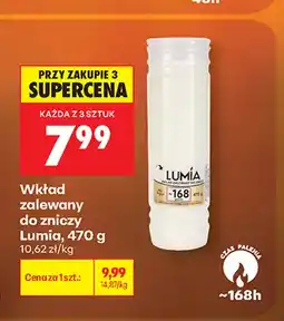Biedronka Wkład zalewany do zniczy Lumia oferta