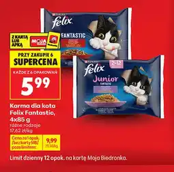 Biedronka Karma dla kota Felix Fantastic oferta