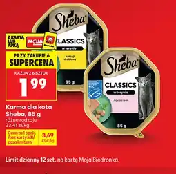 Biedronka Karma dla kota Sheba oferta