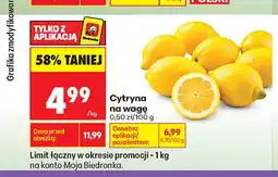 Biedronka Cytryny oferta