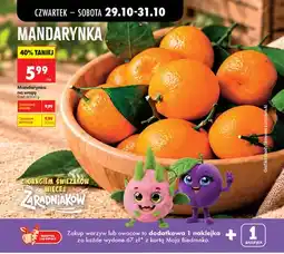 Biedronka Mandarynki oferta