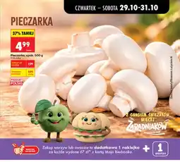Biedronka Pieczarka oferta