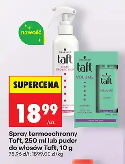 Biedronka Puder do włosów Taft oferta