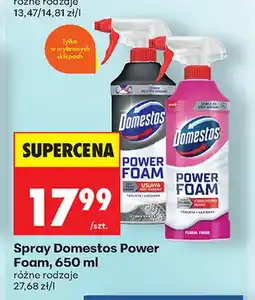 Biedronka Spray Domestos Power Foam oferta